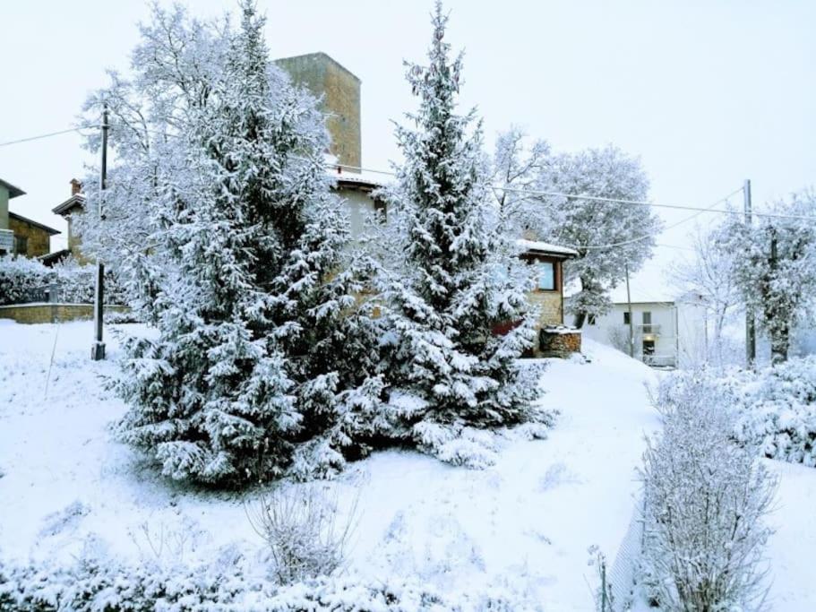 La Casina-maisonette * Serramazzoni